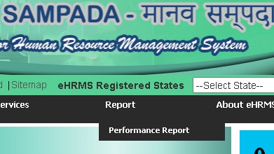 ehrms performance report link