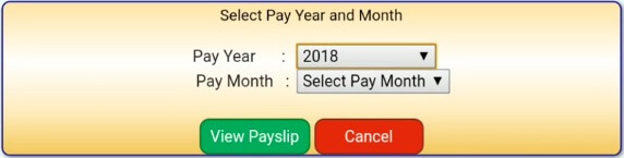 select pay year and month page